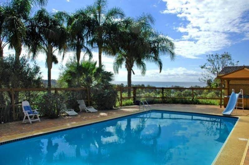Ambience At Diggers Beach Coffs Harbour Extérieur photo